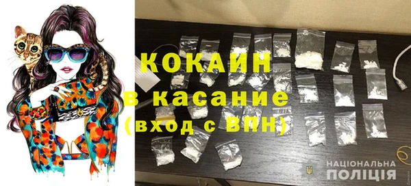 ECSTASY Алзамай