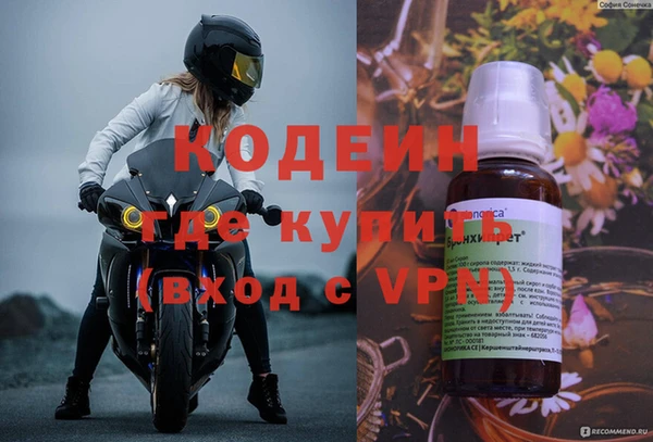 ECSTASY Алзамай