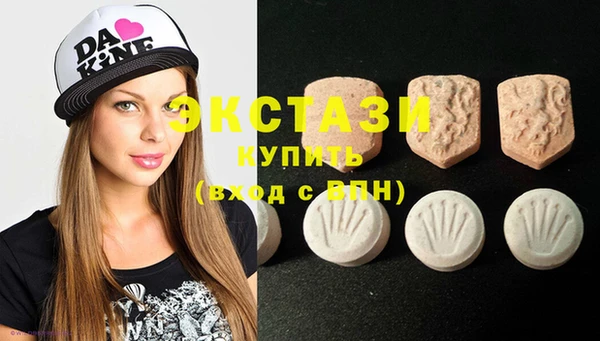 ECSTASY Алзамай