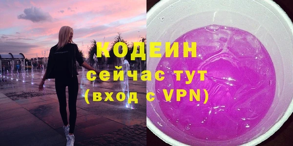 ECSTASY Алзамай