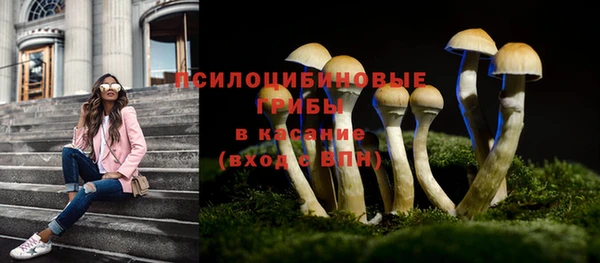 ECSTASY Алзамай
