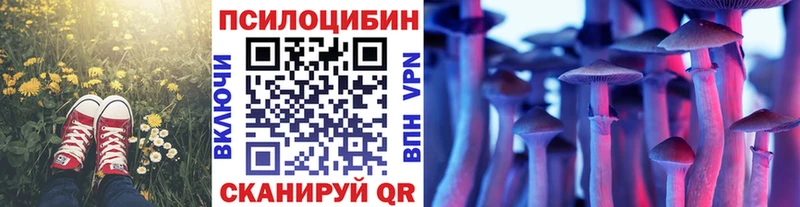 гидра tor  Катав-Ивановск  Галлюциногенные грибы Psilocybe  где купить наркоту 